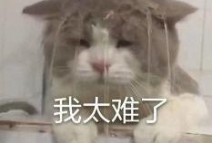 吃瓜娱老二,揭秘娱乐圈背后的故事与真相