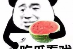 吃瓜的小呆,吃瓜小呆的趣味生活点滴