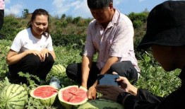 云南吃瓜群众缅甸