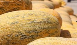 西宁同城吃瓜,揭秘本地热门事件背后的故事