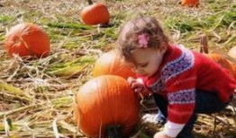 这几天做梦梦见摘瓜吃瓜,连续几晚摘瓜吃瓜的奇幻之旅