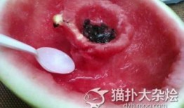 怀孕的人梦见吃瓜吐籽,瓜果飘香，吐籽寓意何在？