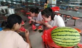 午餐吃瓜的群众,群众热议的瓜界风云