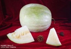 吃三白瓜过敏,探寻过敏源与应对策略