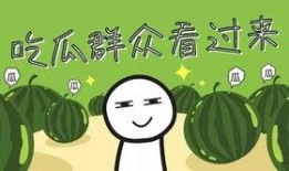 吃瓜全剧终,揭秘娱乐圈背后的真相与落幕