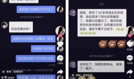 抖音吃瓜文件,热门事件背后的真相与争议