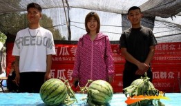 夏日活动吃瓜比赛图片,吃瓜大赛欢乐瞬间回顾