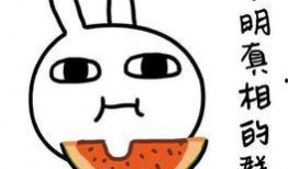 吃瓜健忘症