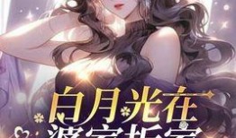 吃瓜小说全部作品,穿越时空的甜蜜瓜果盛宴