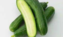 乳瓜冬天可以吃吗,冬季乳瓜的食用指南