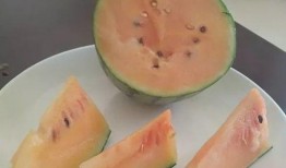 吃瓜就吃,揭秘娱乐圈的甜蜜与苦涩