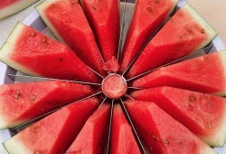 城建吃瓜,吃瓜群众揭秘城市建设的幕后故事