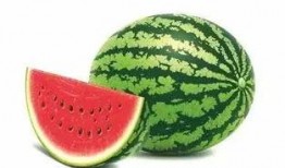 one one不可吃瓜,探寻网络热词背后的真相