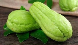 佛手瓜怎么做吃,家常烹饪新选择