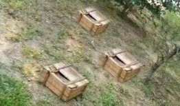 吃鸡吃瓜变身剪辑,一场跨界剪辑的奇妙之旅