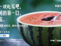 意大利话吃瓜视频,带你领略异国美食文化