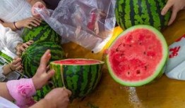 新鲜吃瓜视频,新鲜瓜事一网打尽