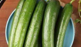 梦见吃新鲜小瓜,揭秘吃新鲜小瓜的神秘寓意