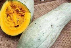 吃脆瓜嘴皮麻了,一咬嘴皮麻，尽享夏日清新滋味