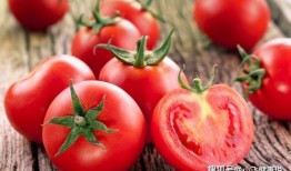 豪门读心吃瓜番茄,读心吃瓜，揭秘番茄背后的豪门秘闻