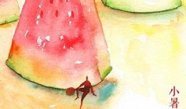 北枫吃瓜,揭秘娱乐圈那些不为人知的幕后故事