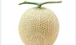 无绣瓜怎么吃,探索清新口感的新选择