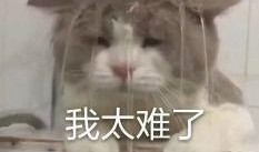 吃瓜娱老二,揭秘娱乐圈背后的故事与真相