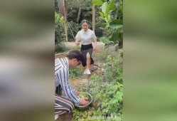 仔仔鸵鸟吃瓜