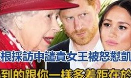 吃瓜小说解说全集,揭秘网络文学背后的故事与魅力