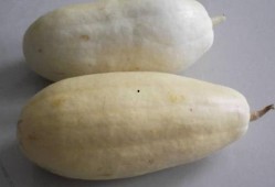 村民喜欢吃瓜,村民的夏日美食情怀