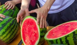 学校喜欢吃瓜,揭秘校园里的美食盛宴