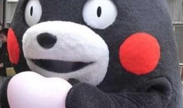 吃瓜的小呆,吃瓜小呆的趣味生活点滴