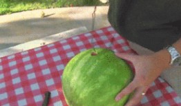 超级吃瓜全部,揭秘娱乐圈幕后风云