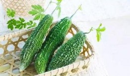 吃瓜杨婧婧,揭秘娱乐圈背后的故事