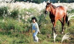 人马打野吃瓜,瓜田里的激情与智慧