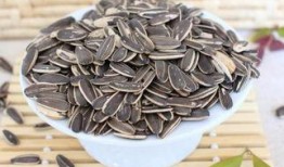 咳瓜子吃瓜,吃瓜群众的狂欢