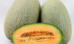 贡瓜是哈密瓜吗怎么吃,美味同源，食法各异