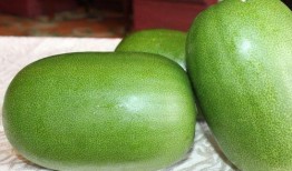 北美吃瓜男,揭秘他们的社交生活与趣味