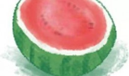 吃瓜免费吃,免费吃瓜，畅享夏日清凉