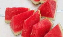 城建吃瓜,吃瓜群众揭秘城市建设的幕后故事