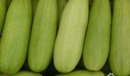 吃白瓜过敏,探寻过敏源与应对策略