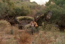 人马打野吃瓜,瓜田里的激情与智慧