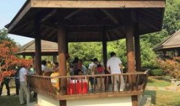 吃瓜群凉亭视频,揭秘网络热议背后的真相