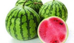 密瓜不能和什么吃,密瓜相克食物大盘点，这些搭配要避免