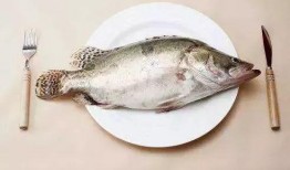 鱼吃不吃瓜叶,探究鱼儿对瓜叶的偏好之谜