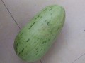 跪求吃瓜群,网络社交新现象背后的故事