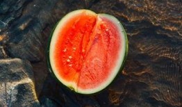 莆田系吃瓜,揭秘医疗行业的“吃瓜”现象