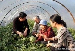 吃瓜中转场,揭秘娱乐圈幕后风云