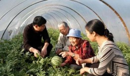 吃瓜中转场,揭秘娱乐圈幕后风云