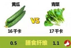 吃瓜减肥科学吗,揭秘科学饮食与轻松瘦身之道